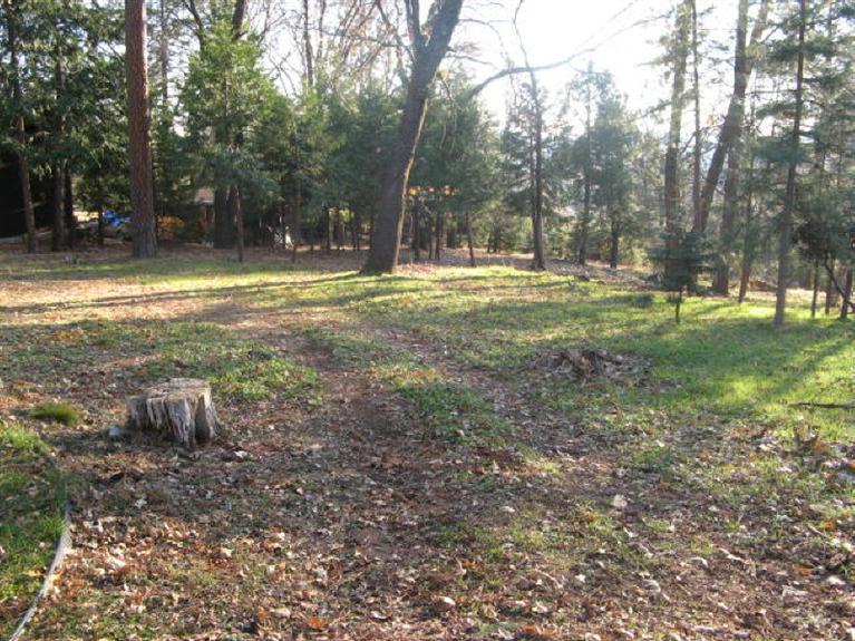 2000 Union Ridge Rd, Placerville, CA 95667 photo 15