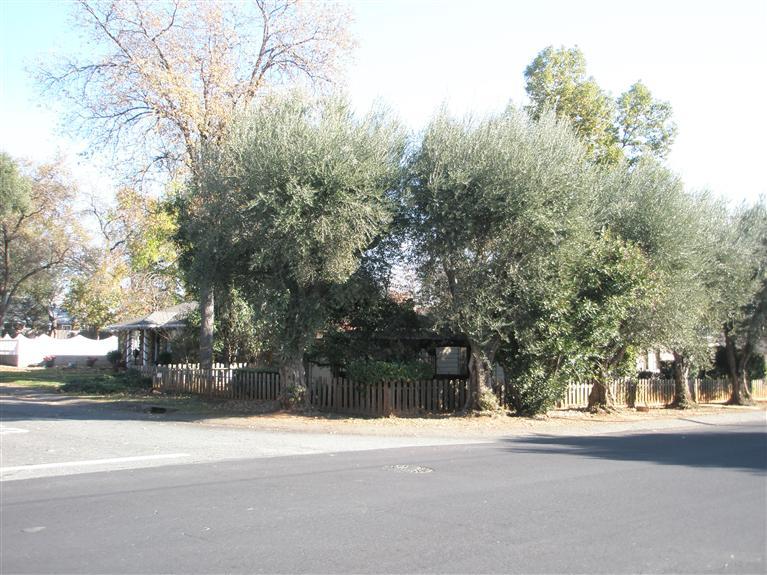703 Reading St, Folsom, CA 95630 photo 17
