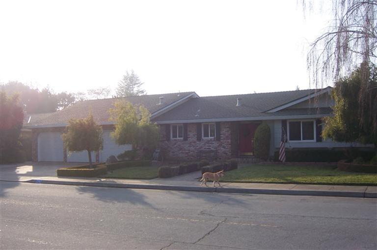 1741 Smith Dr, Turlock, CA 95382 photo 3