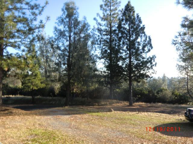 6401 Claim St, Placerville, CA 95667 photo 11