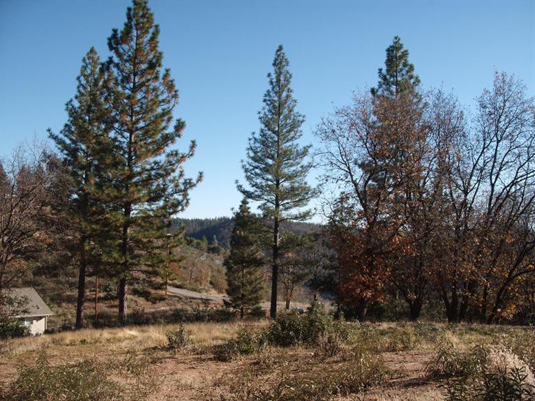 1596 Sawmill Rd, Colfax, CA 95713 photo 20