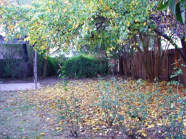 1007 Cabot St, Davis, CA 95616 photo 11