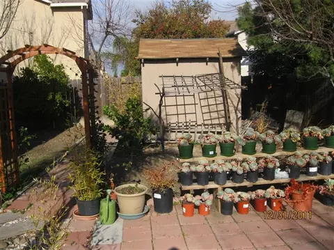 1164 Dover Ln, Tracy, CA 95377 photo 21