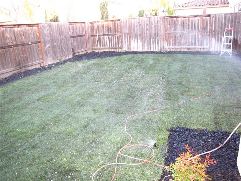 2239 Olson Dr, Lodi, CA 95242 photo 22