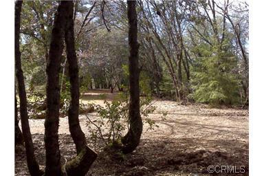 15000 Sandar Rd, Pine Grove, CA 95665 photo 3
