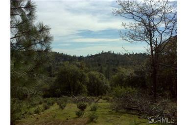 15000 Sandar Rd, Pine Grove, CA 95665 photo 4