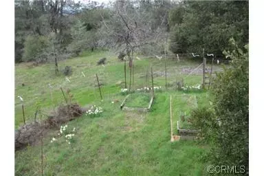 19941 Lomo Ranchos Rd, Volcano, CA 95689 photo 19