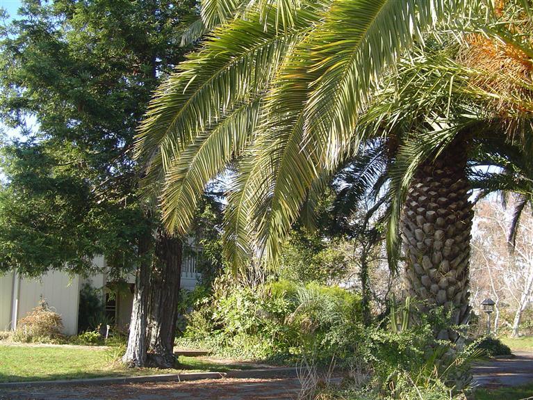 9660 Alta Mesa Rd, Wilton, CA 95693 photo 1