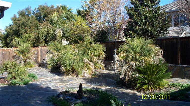 1966 Alhambra Ct, Tracy, CA 95376 photo 11