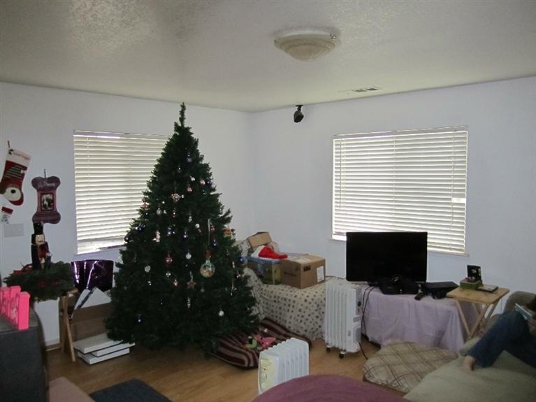 1111 Williamson Rd, Manteca, CA 95337 photo 2