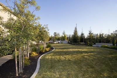 13648 N Locust Tree Rd, Lodi, CA 95240 photo 25