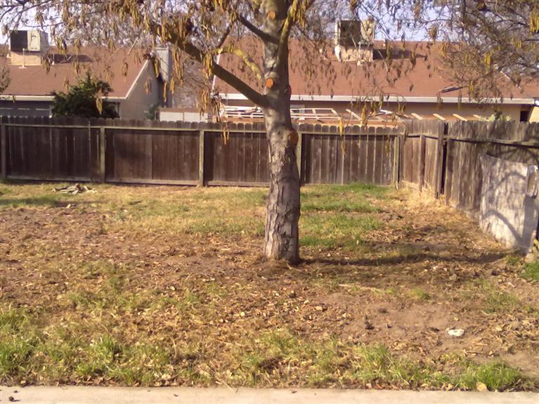 925 Marshall Ave, Modesto, CA 95351 photo 20