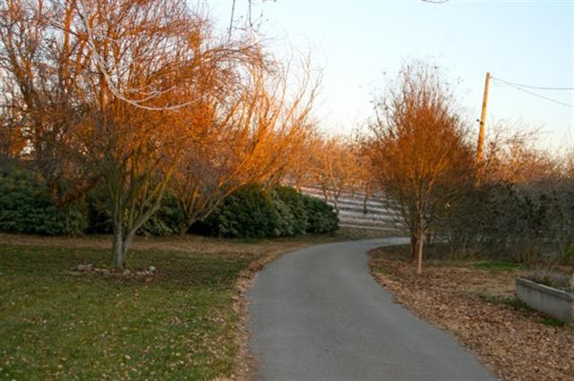 369 Arlberg Rd, Hickman, CA 95323 photo 3