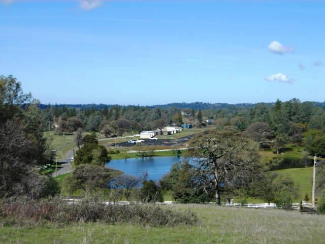 6685 Mosquito Rd, Placerville, CA 95667 photo 5