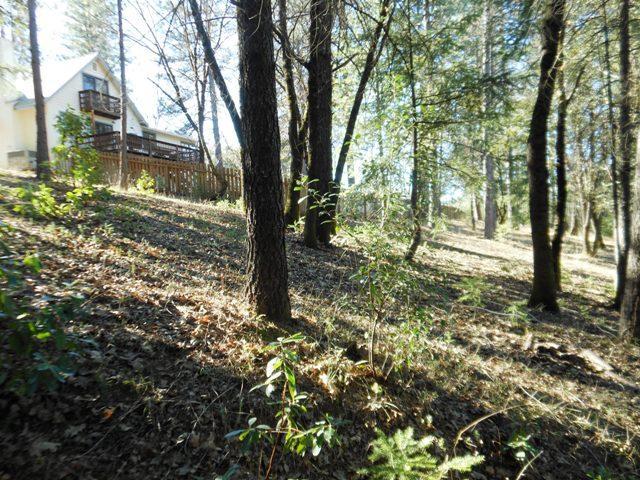 1345 Boole Rd, Applegate, CA 95703 photo 4