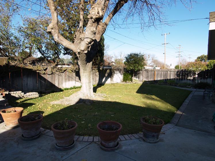 1439 Paulette Ave, Modesto, CA 95355 photo 24