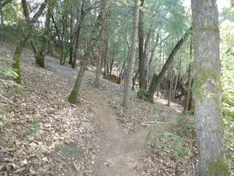 1500 Eden Forest Dr, Colfax, CA 95713 photo 8