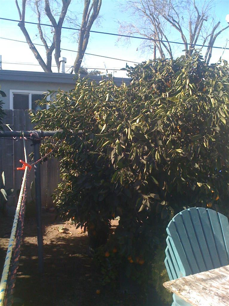 642 Jean St, Modesto, CA 95351 photo 9