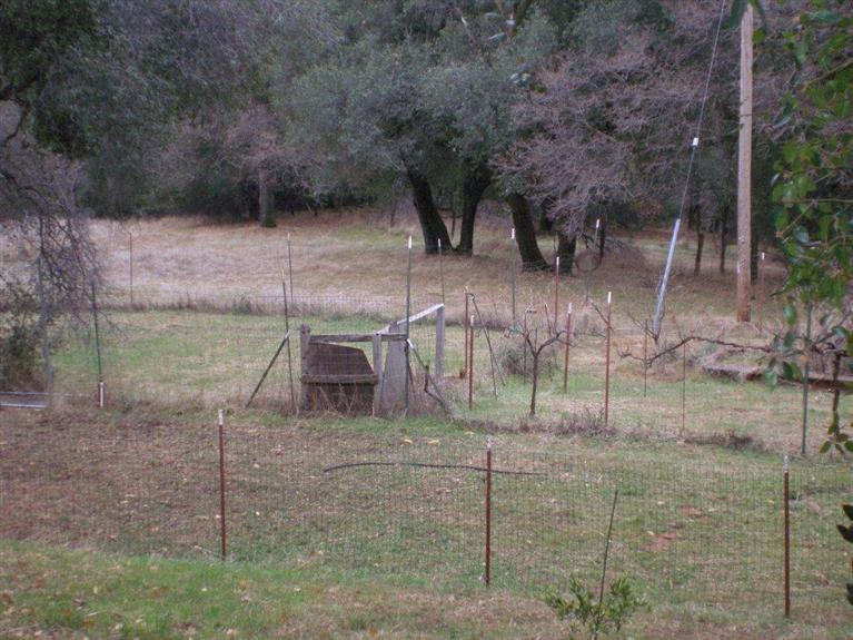 2021 Sundown Trl, Placerville, CA 95667 photo 18