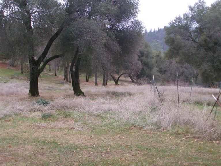 2021 Sundown Trl, Placerville, CA 95667 photo 17
