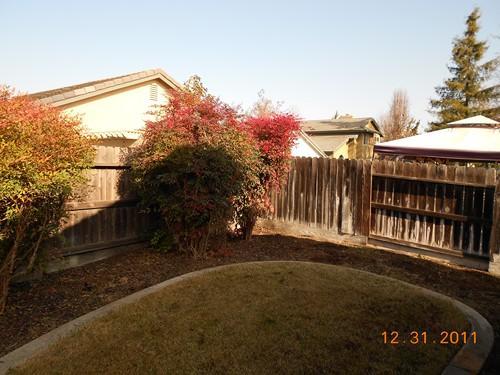 899 Cold Brook Ct, Galt, CA 95632 photo 11