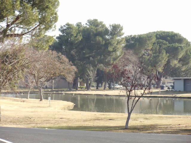 1593 Via Italiano, Gustine, CA 95322 photo 3