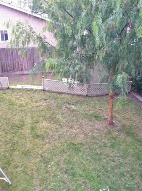 1437 Chadwick Pl, Manteca, CA 95336 photo 18