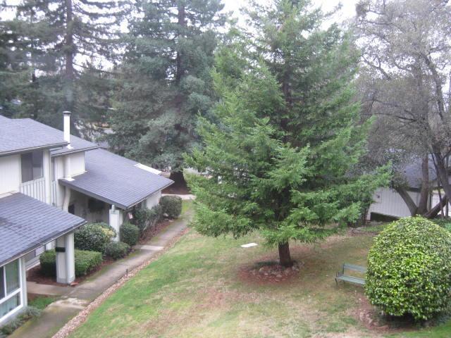 421 Sutton Pl, Auburn, CA 95603 photo 10