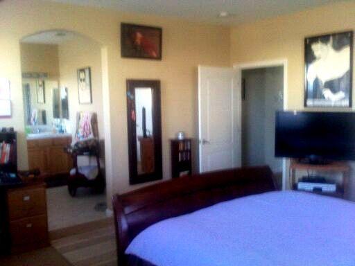309 Wolfpack Ct, Patterson, CA 95363 photo 8