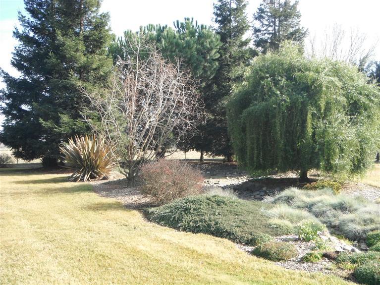 424 Roscoe Rd, Modesto, CA 95357 photo 18