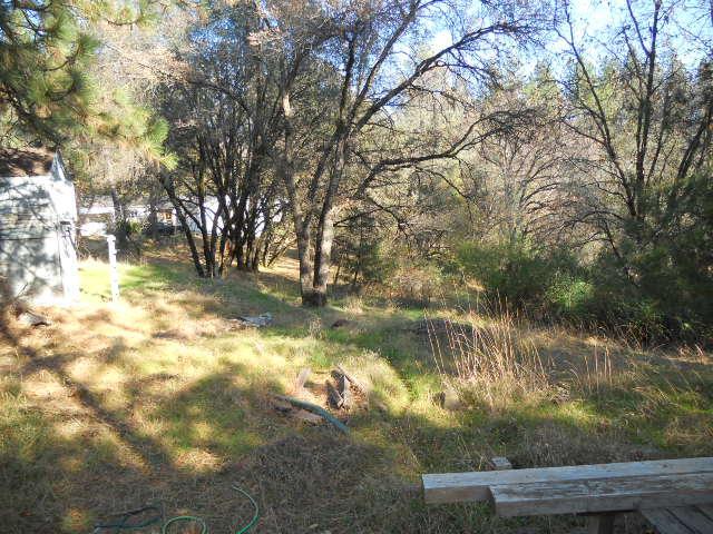 16789 Spring Creek Rd, Applegate, CA 95703 photo 11