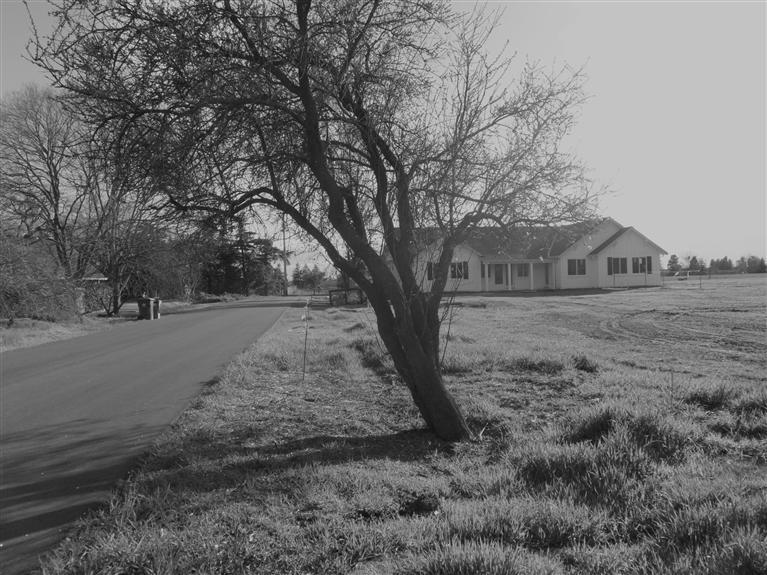 38294 Patwin Te, Davis, CA 95616 photo 16