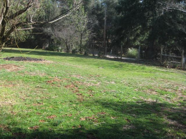 2356 Meadow Ln, Placerville, CA 95667 photo 12