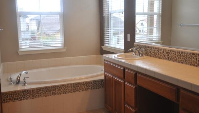 1141 Levee Ln, Lathrop, CA 95330 photo 8