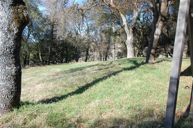1240 Stags Leap Rd, Placerville, CA 95667 photo 14