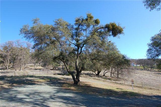 1240 Stags Leap Rd, Placerville, CA 95667 photo 5