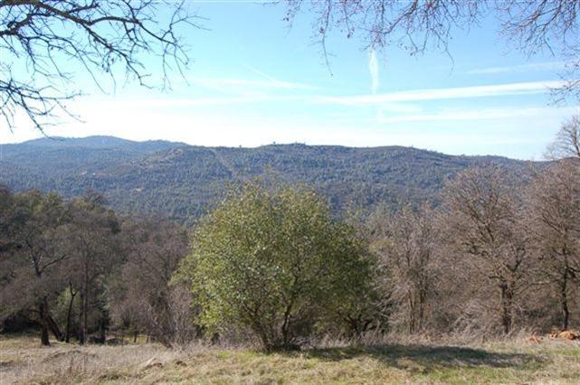 1240 Stags Leap Rd, Placerville, CA 95667 photo 2