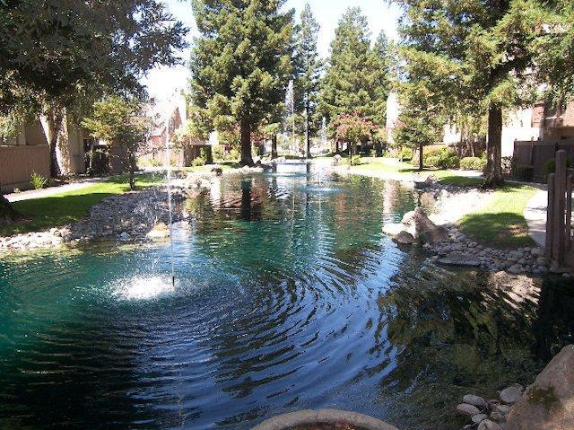 3701 Colonial Dr #166, Modesto, CA 95356 photo 14