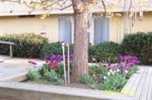 3525 E Service Rd, Ceres, CA 95307 photo 12
