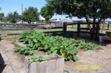 3525 E Service Rd, Ceres, CA 95307 photo 8