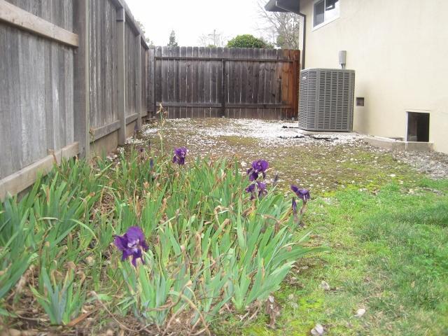 6108 Woodhaven, Carmichael, CA 95608 photo 6