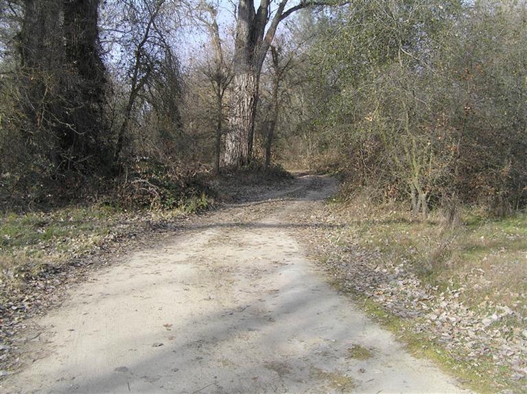 4949 No Name Rd, Loomis, CA 95650 photo 9