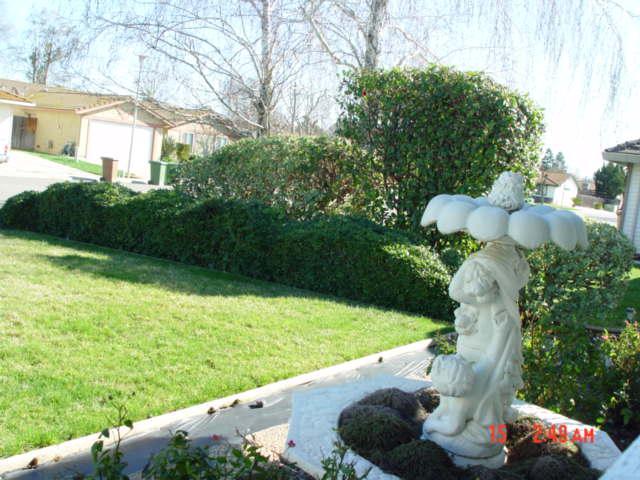 150 Emerald Oak Dr, Galt, CA 95632 photo 23
