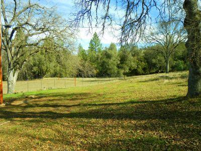 1400 Brandy Ln, Placerville, CA 95667 photo 17