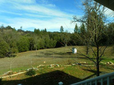 1400 Brandy Ln, Placerville, CA 95667 photo 18