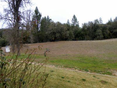 1400 Brandy Ln, Placerville, CA 95667 photo 12
