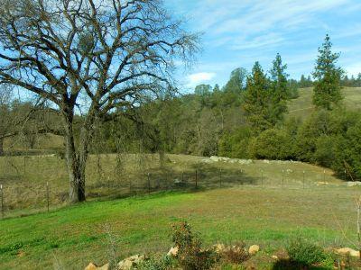 1400 Brandy Ln, Placerville, CA 95667 photo 16