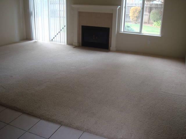 273 Idlewild Dr, Lodi, CA 95240 photo 4