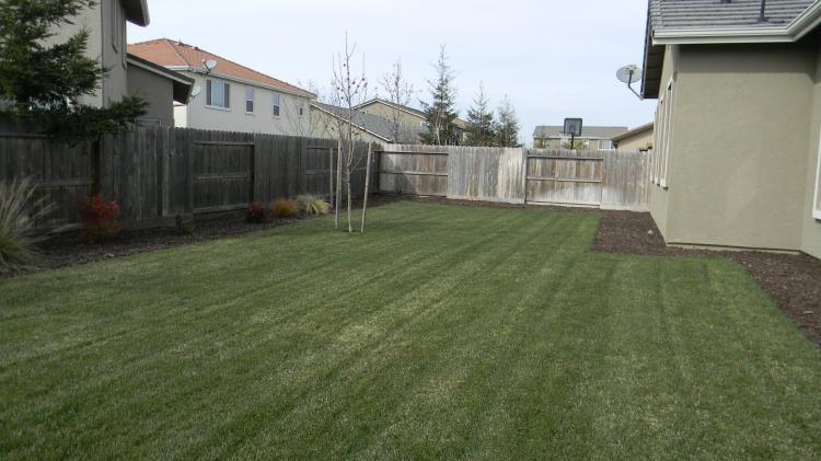 4419 Fireside Dr, Turlock, CA 95382 photo 16
