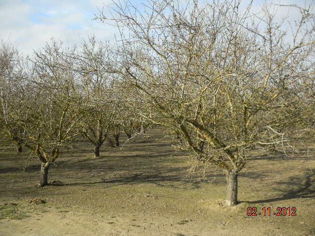 1466 E Grayson Rd, Ceres, CA 95307 photo 16